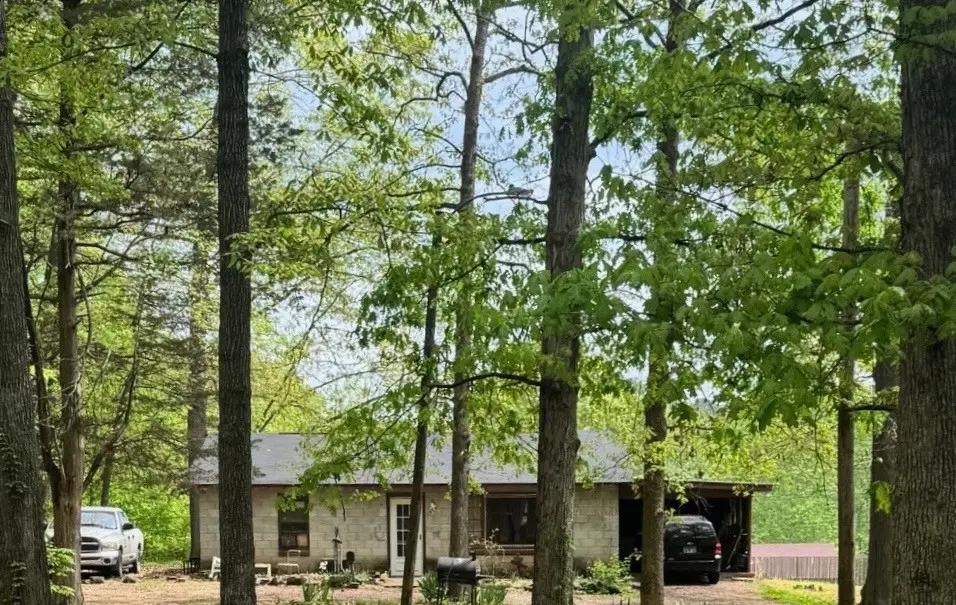 193 Whitaker St, Camden, TN 38320 - #1