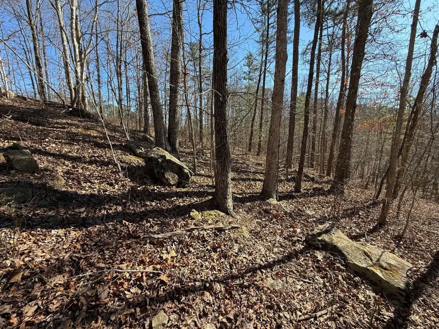 2 South Pittsburg Mtn Road, South Pittsburg, TN 37380 - #2