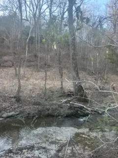 0 Glasgow Branch Road, Hartsville, TN 37074 - #3