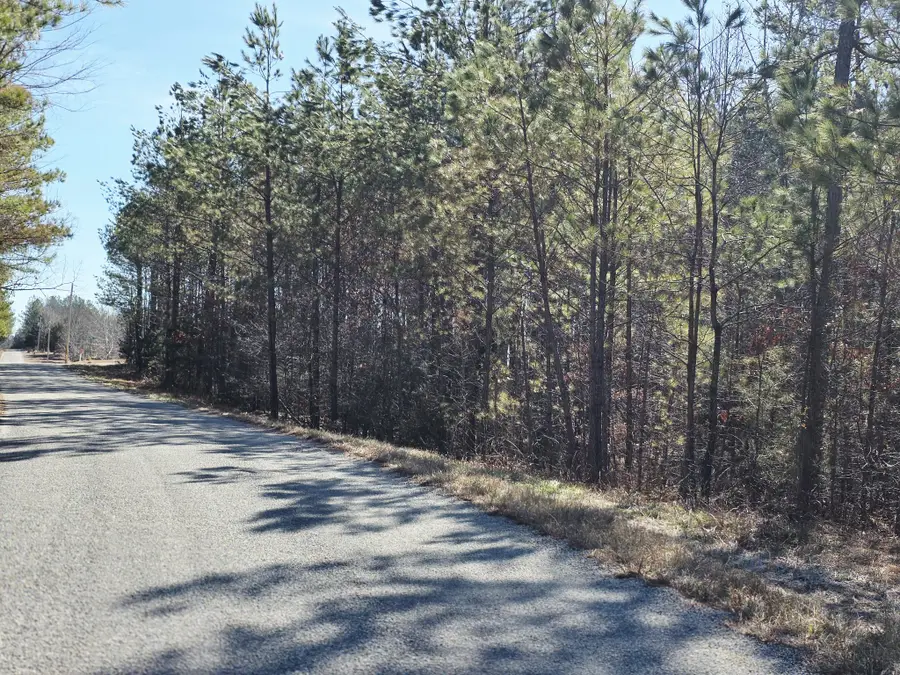 0 Allen Mill Bridge Rd, Camden, TN 38320 - #3