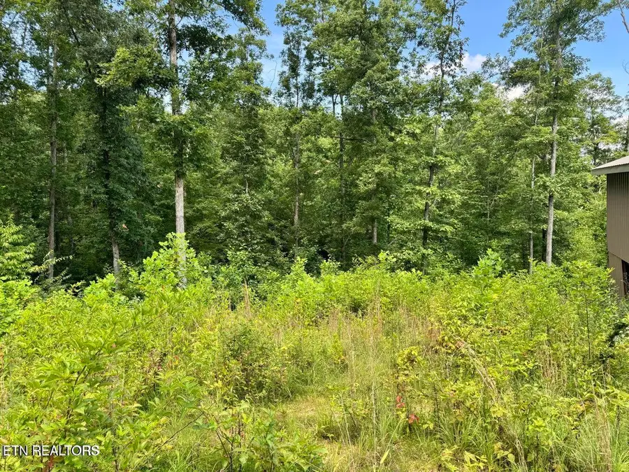 1291 Buck Lane, Crawford, TN 38554 - #3