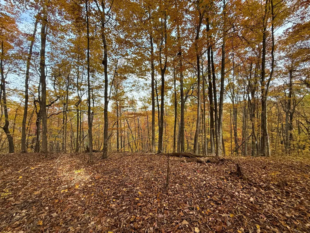 540 Cumberland Cove Rd, Monterey, TN 38574 - #1