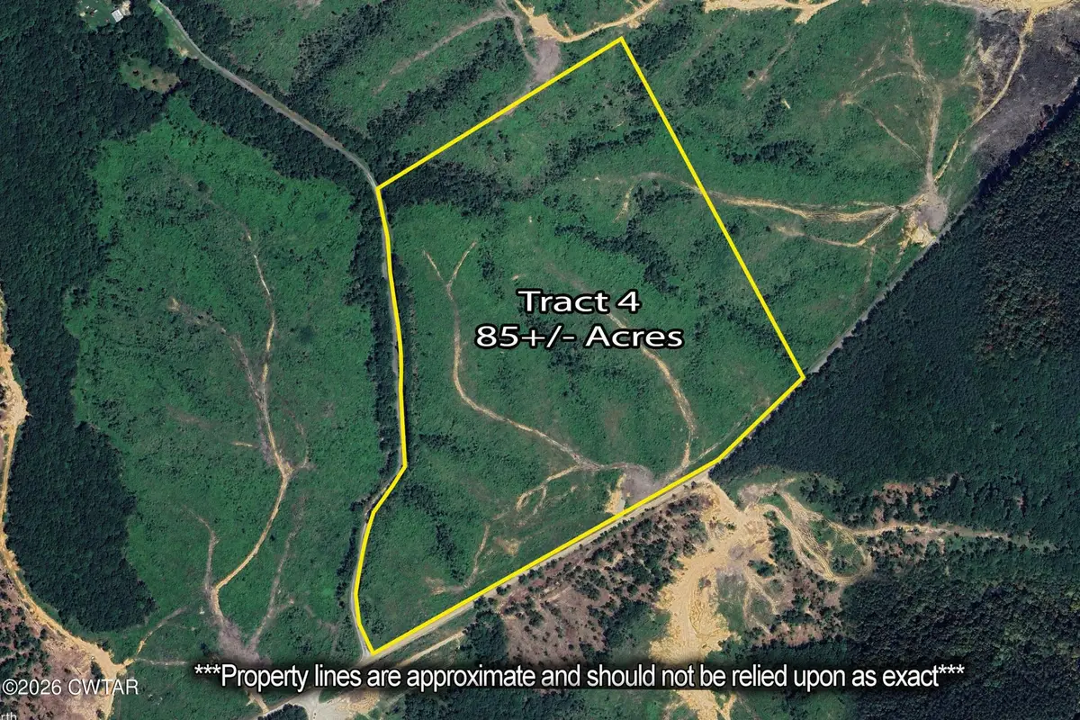 0 Rockport Mcillwain Rd, Holladay, TN 38341 - #1