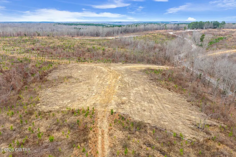 0 Rockport Mcillwain Rd, Holladay, TN 38341 - #3