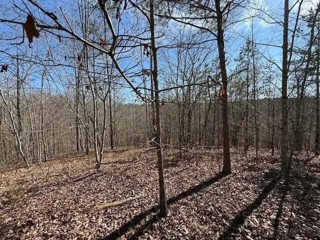 4 South Pittsburg Mountain, South Pittsburg, TN 37380 - #2