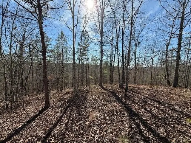 4 South Pittsburg Mountain, South Pittsburg, TN 37380 - #3