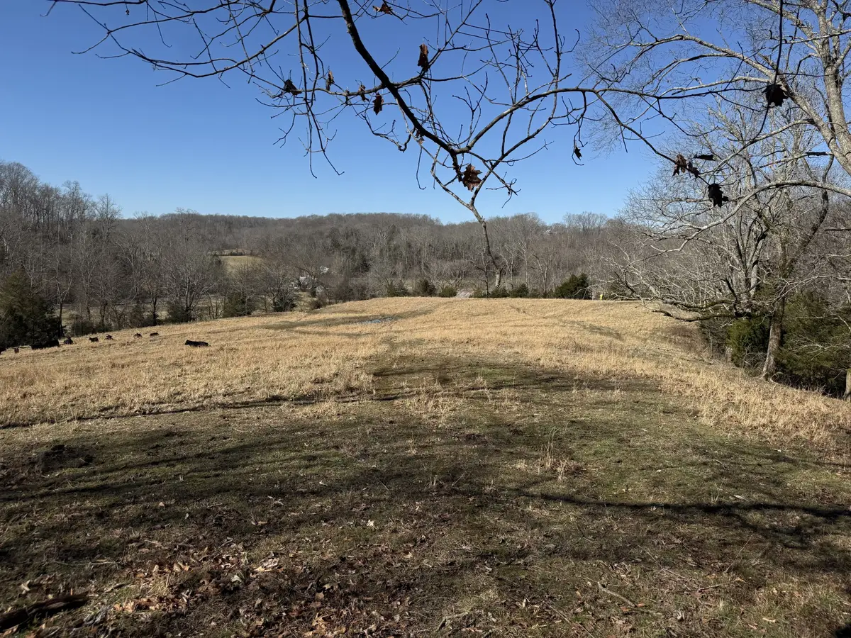4 N Lick Creek Rd, Franklin, TN 37064 - #1