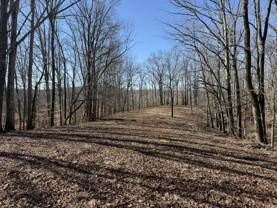 4 N Lick Creek Rd, Franklin, TN 37064 - #3