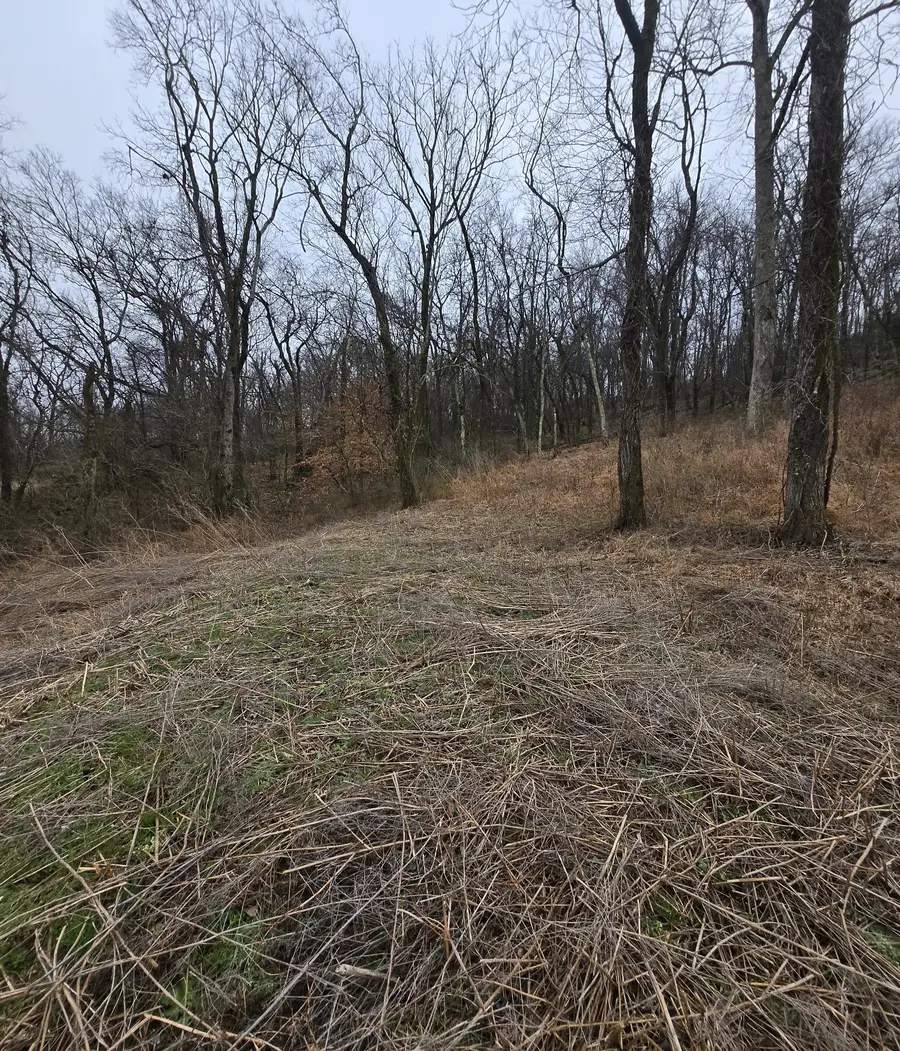 22241 Hwy 64, Pulaski, TN 38478 - #3