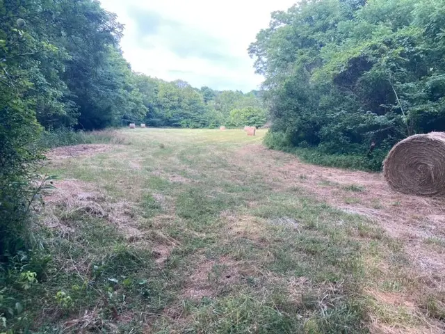 334 Cathcart Rd, Frankewing, TN 38459 - #2