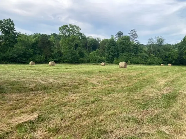 334 Cathcart Rd, Frankewing, TN 38459 - #3