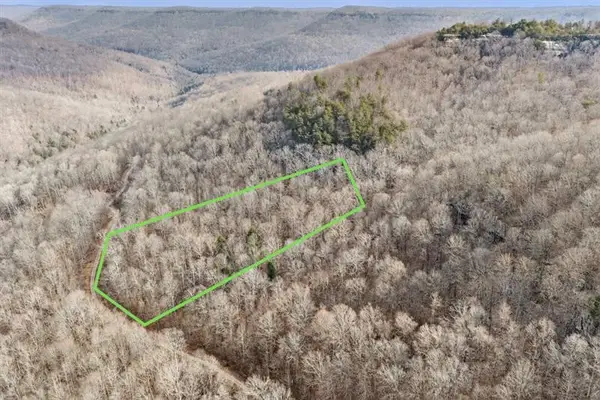 0 W Bobcat Ln, Grimsley, TN 38565