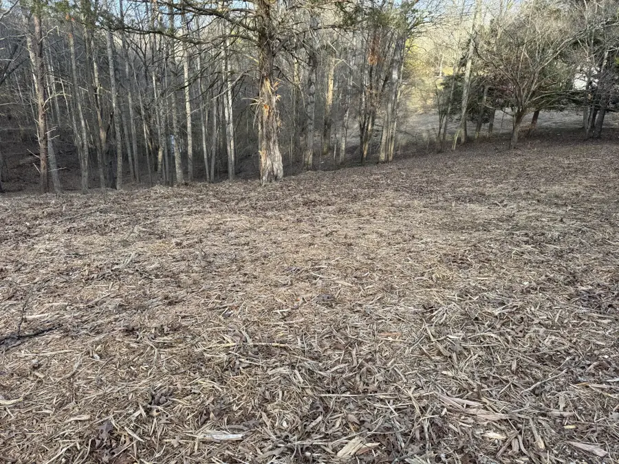 0 Poss Rd, Smithville, TN 37166 - #3