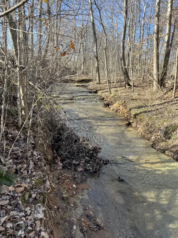 4061 Sawmill Rd, Woodlawn, TN 37191