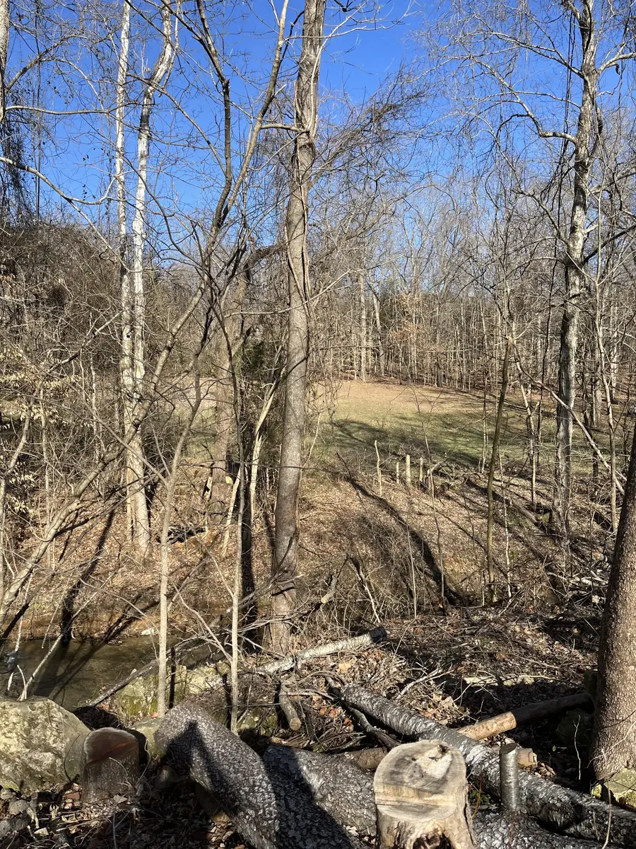 4061 Sawmill Rd, Woodlawn, TN 37191 - #3