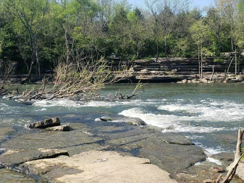 4139 Oswin Drive, Murfreesboro, TN 37129 - #3