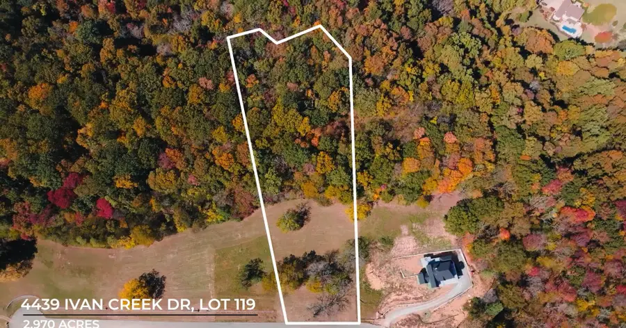 4439 Ivan Creek Dr, Franklin, TN 37064 - #2
