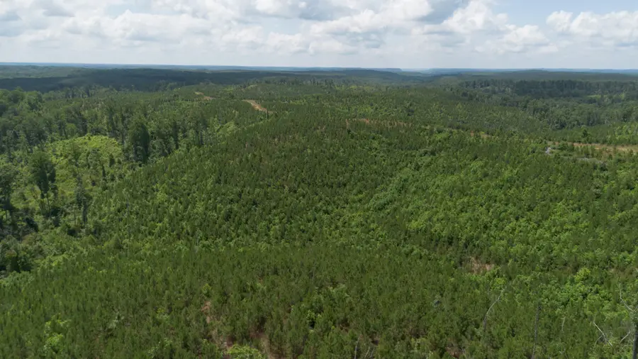 0 Low Gap Road, Sugar Tree, TN 38380 - #3