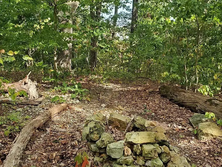 6621 Chatsworth Pl, Nashville, TN 37205 - #2