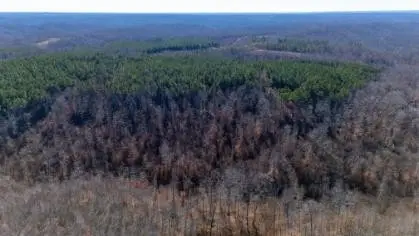 0 White Oak Rd, Stewart, TN 37175 - #3