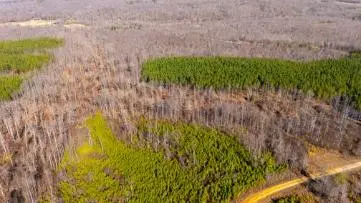 0 White Oak Rd, Stewart, TN 37175 - #3