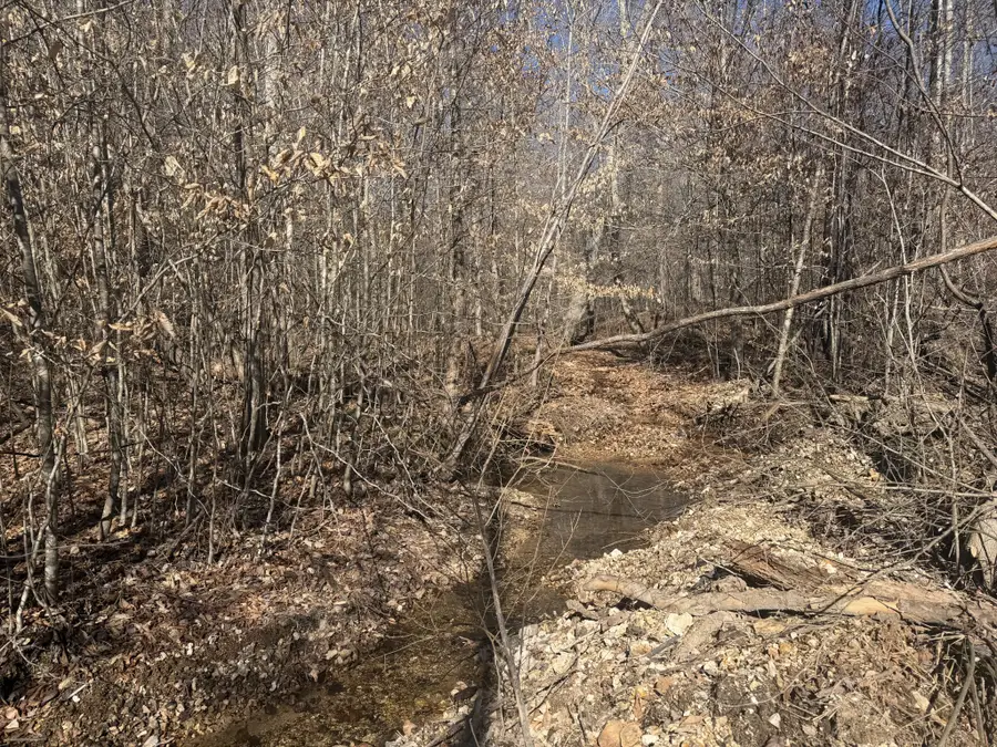 240 Golden View Ln, Hampshire, TN 38461 - #2