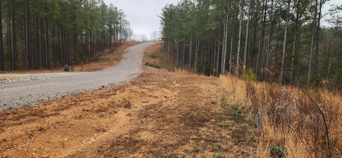 289 Center Ridge Dr, Linden, TN 37096 - #1