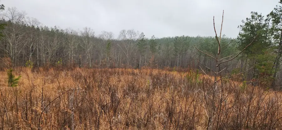 289 Center Ridge Dr, Linden, TN 37096 - #2