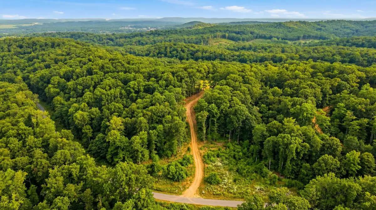 1655 Box Hollow Rd, New Johnsonville, TN 37134 - #1