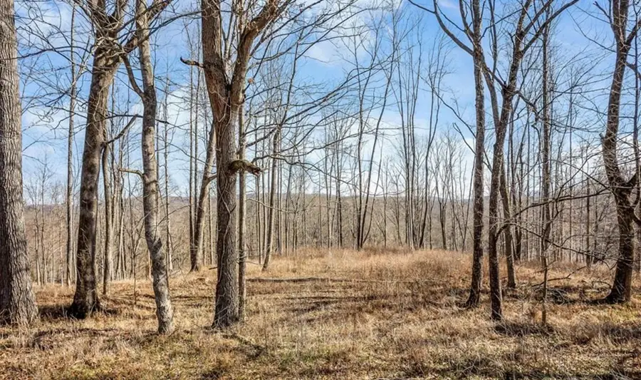 0 Forest Circle, Sparta, TN 38583 - #2