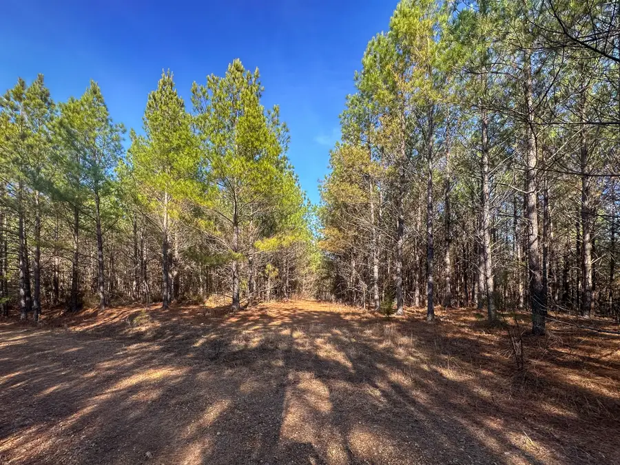 0 Indian Creek Rd, Hohenwald, TN 38462 - #2