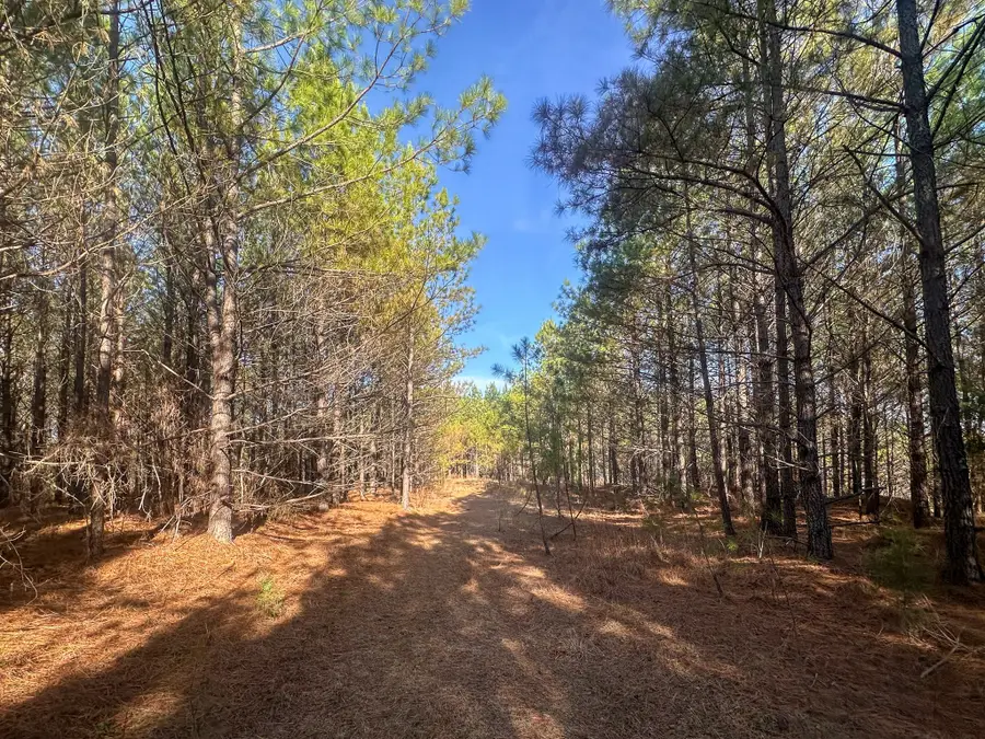 0 Indian Creek Rd, Hohenwald, TN 38462 - #3