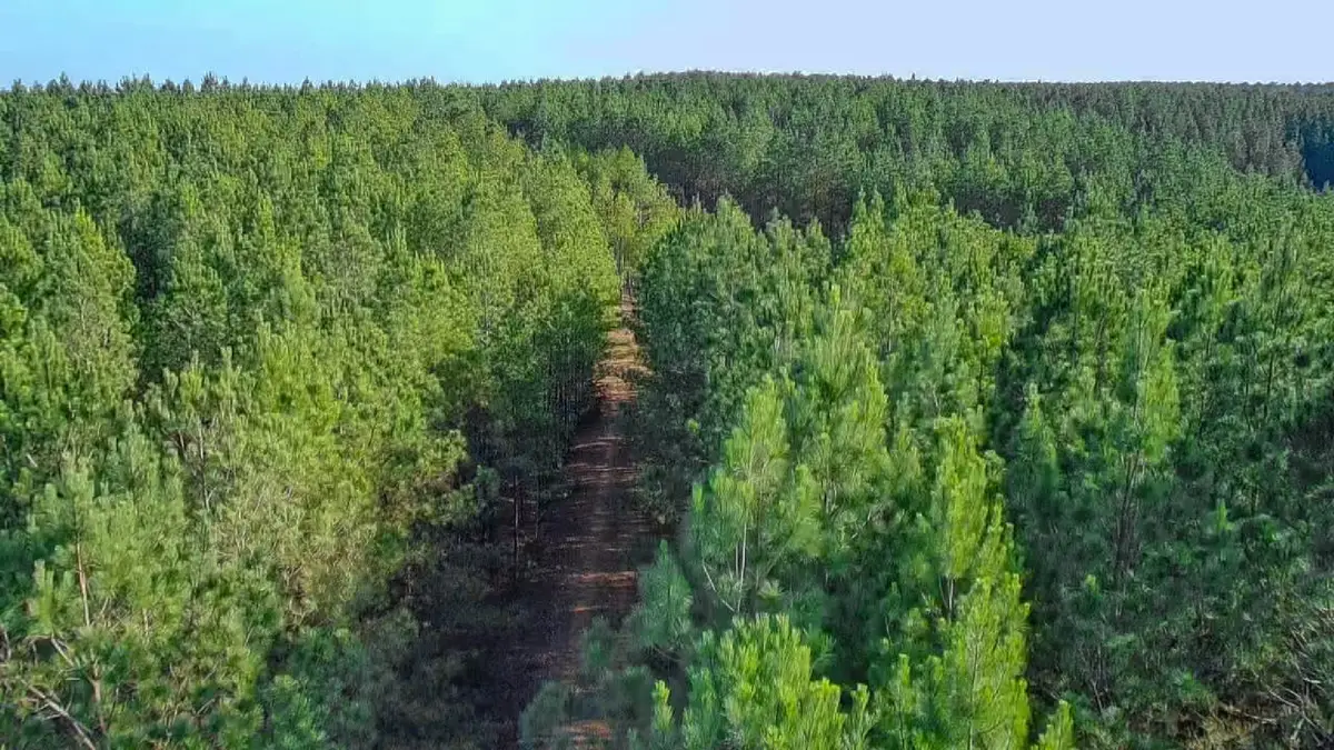 0 Indian Creek Rd, Hohenwald, TN 38462 - #1