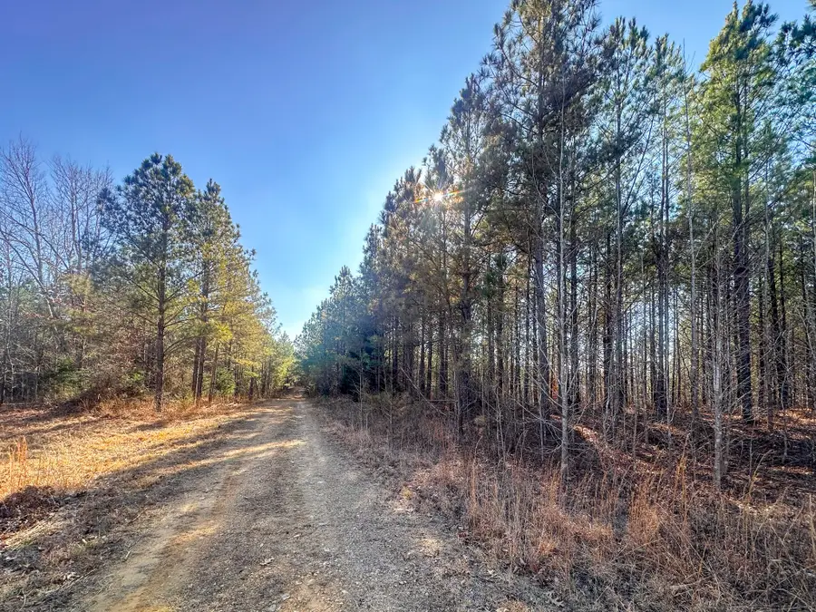 0 Indian Creek Rd, Hohenwald, TN 38462 - #2