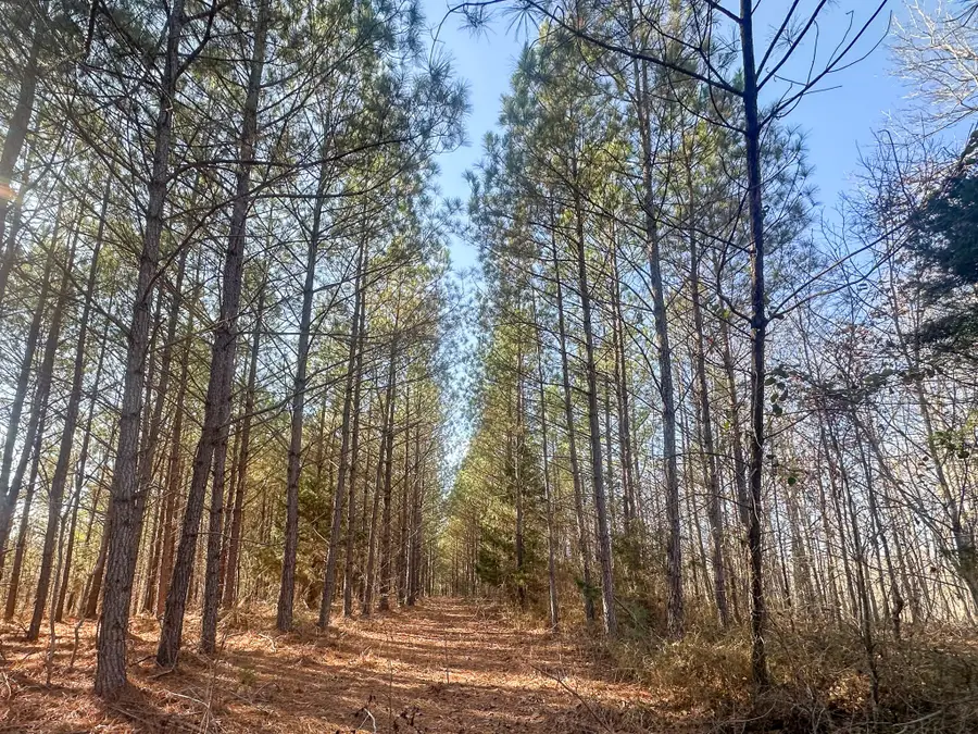 0 Indian Creek Rd, Hohenwald, TN 38462 - #3