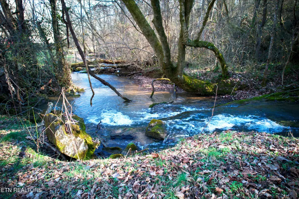 0 Rheatown Rd, Chuckey, TN 37641 - #1