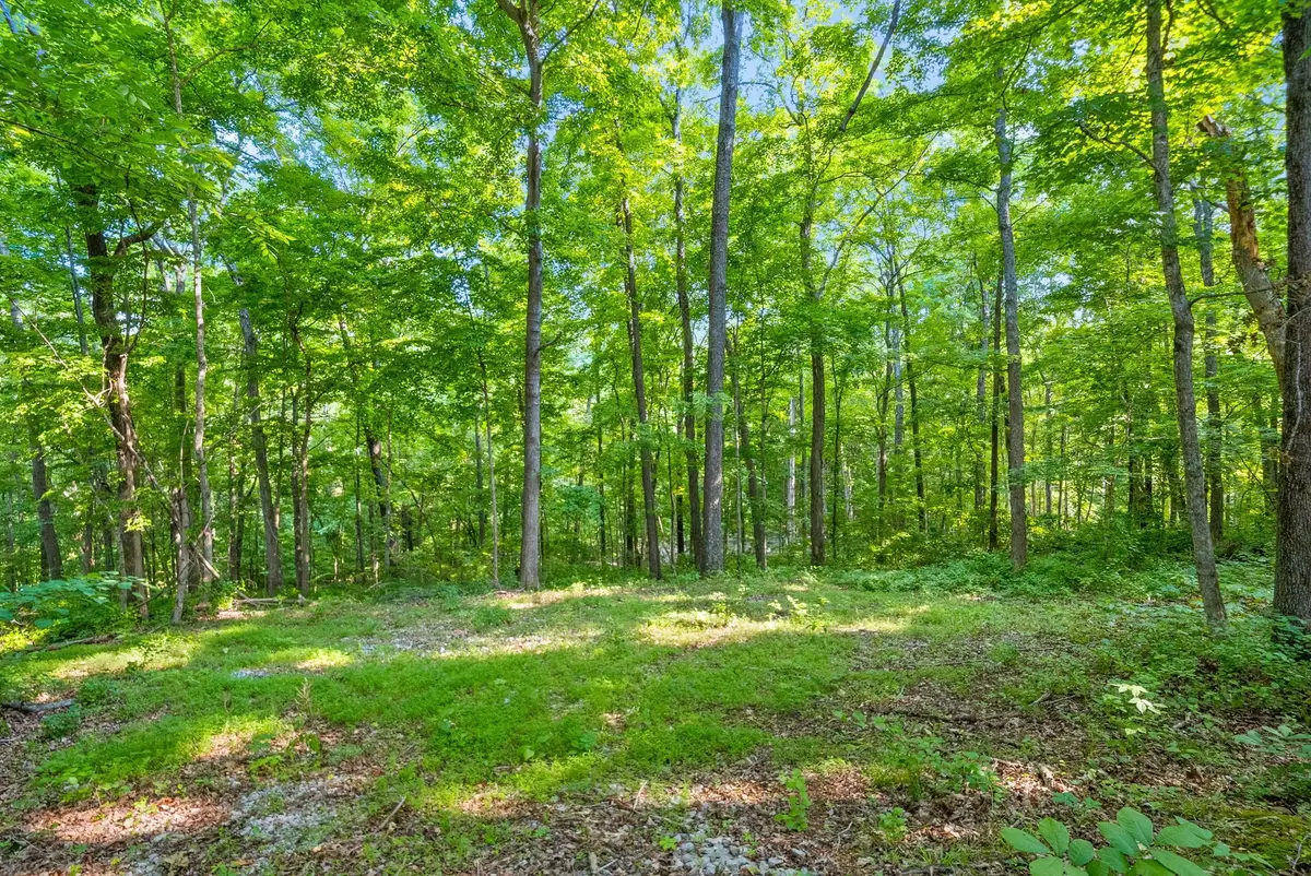 1 Ferry Rd, Clarksville, TN 37040 - #1