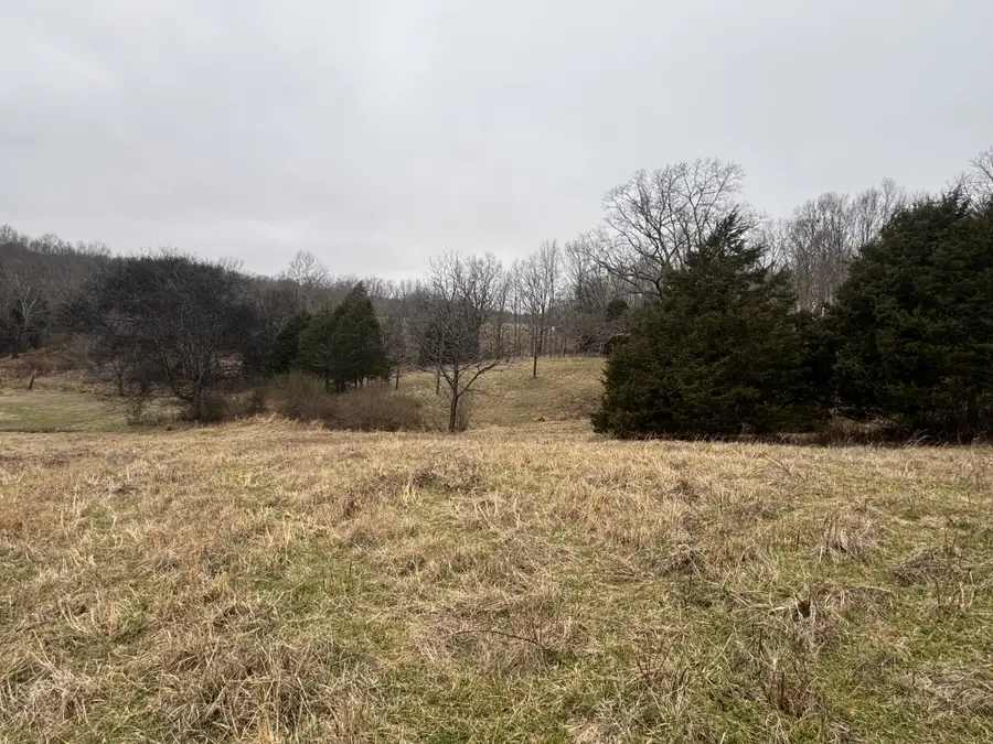 2250 Indian Creek Rd, Mc Ewen, TN 37101 - #3