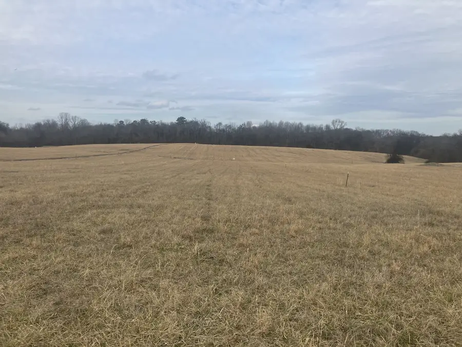 3 Southport Rd, Mount Pleasant, TN 38474 - #2