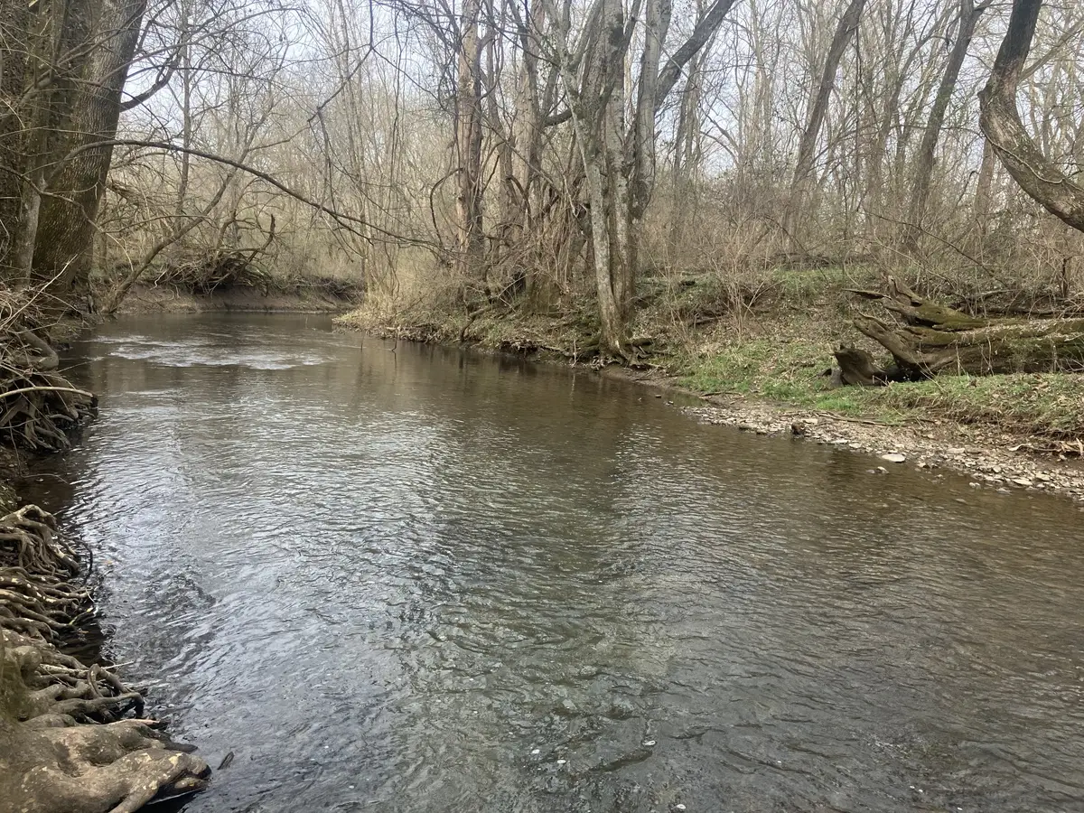 6 Southport Rd, Mount Pleasant, TN 38474 - #1