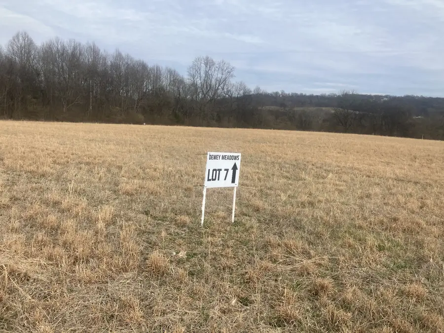 7 Southport Rd, Mount Pleasant, TN 38474 - #3