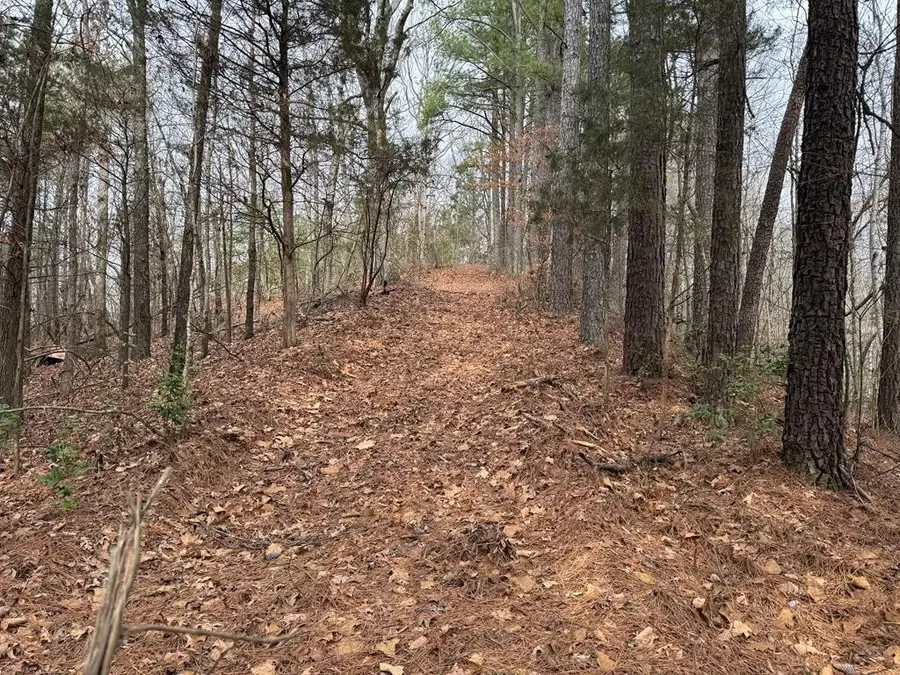 613 Williams Grove Rd, Camden, TN 38320 - #3