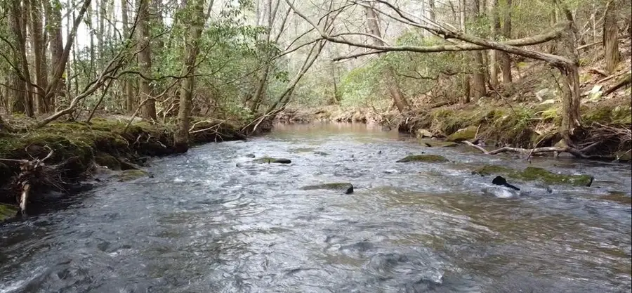 1780 Wolf Haven Rd, Spencer, TN 38585 - #3