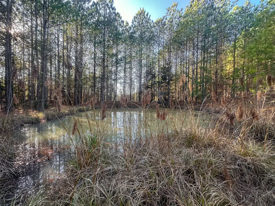 0 Indian Creek Rd, Hohenwald, TN 38462 - #3