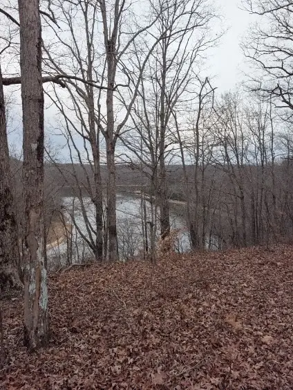 0 Old Mt View Rd, Manchester, TN 37355 - #2