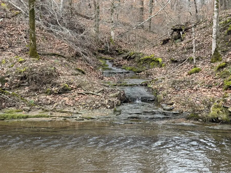 5790 N Lick Creek Rd, Franklin, TN 37064 - #3