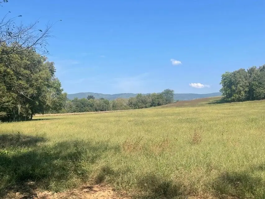 12 Upper East Valley, Pikeville, TN 37367 - #2