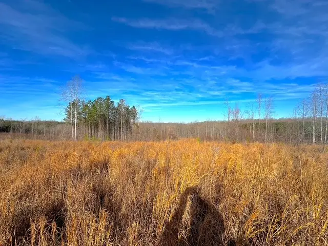 0 Saddleback Dr, Dover, TN 37058 - #3