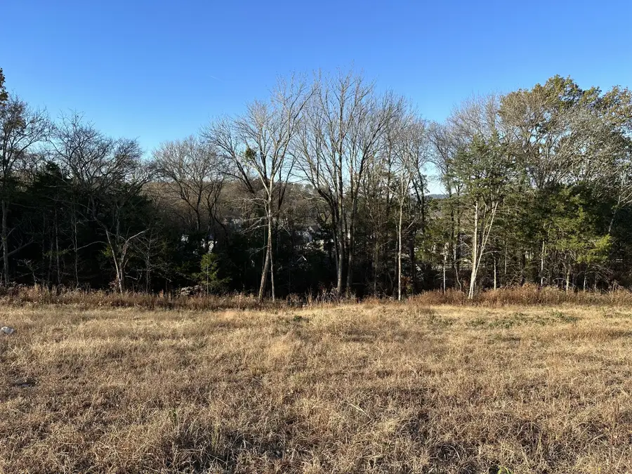 8095 Mountaintop Dr, College Grove, TN 37046 - #2