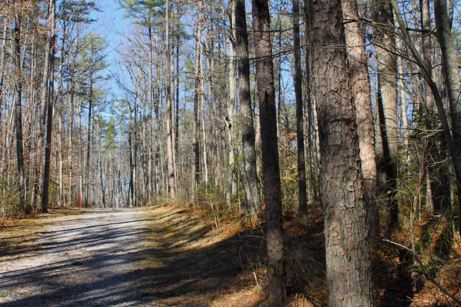 0 Woodfern Lane, Coalmont, TN 37313 - #2